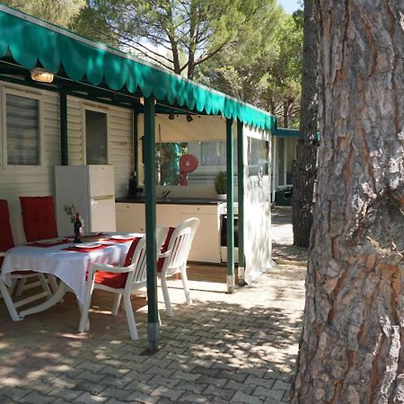 Chalets met buitenkeuken op Camping Leï Suves - JoyCasa Roquebrune-sur-Argens Buitenkant foto