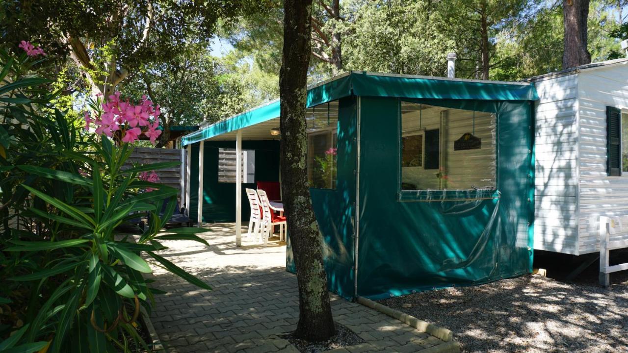 Chalets met buitenkeuken op Camping Leï Suves - JoyCasa Roquebrune-sur-Argens Buitenkant foto