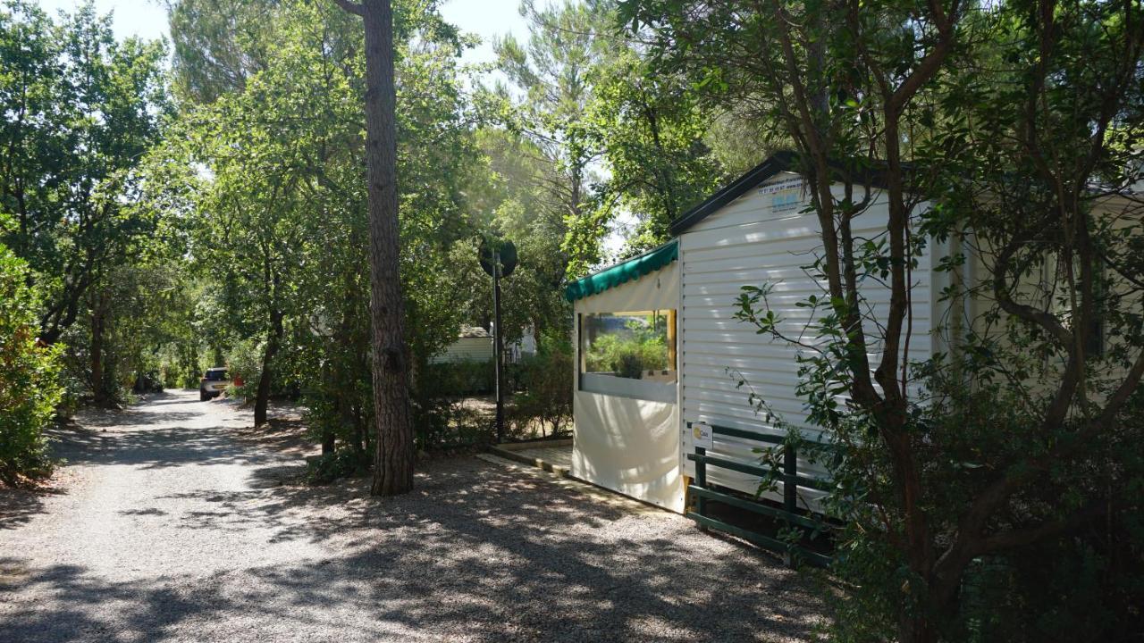 Chalets met buitenkeuken op Camping Leï Suves - JoyCasa Roquebrune-sur-Argens Buitenkant foto