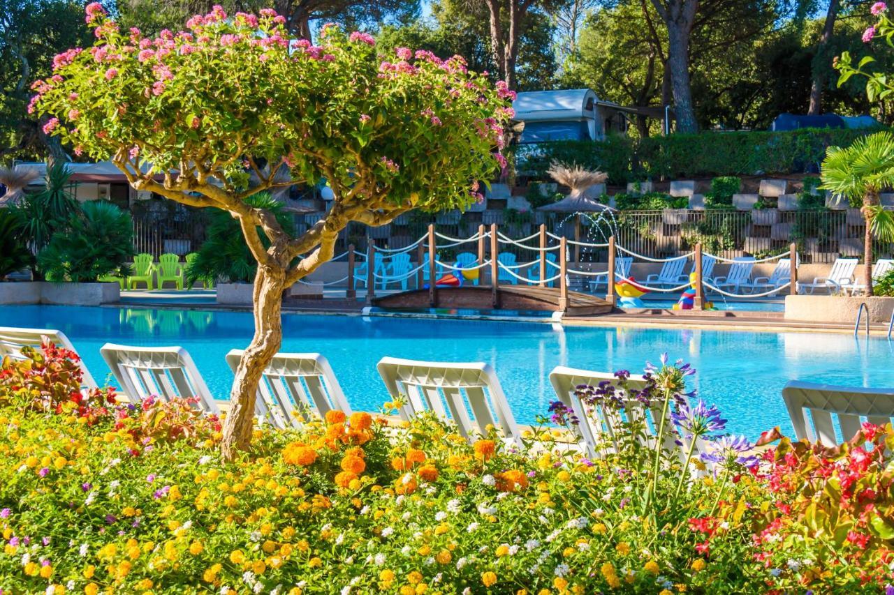 Chalets met buitenkeuken op Camping Leï Suves - JoyCasa Roquebrune-sur-Argens Buitenkant foto