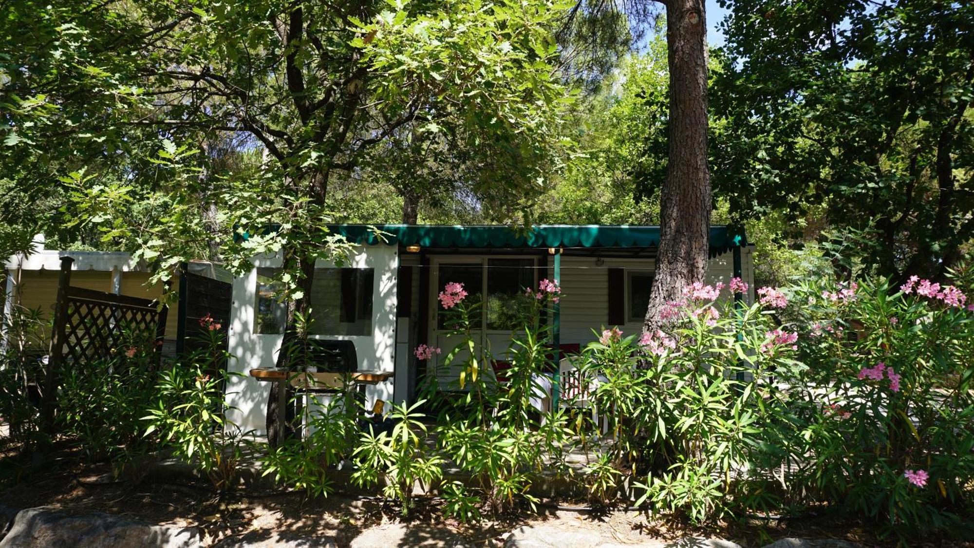 Chalets met buitenkeuken op Camping Leï Suves - JoyCasa Roquebrune-sur-Argens Kamer foto